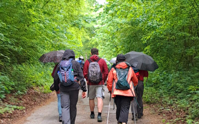 Von Aalen übers Aalbäumle nach Oberkochen – ökumenische Pilgerwanderung 2025